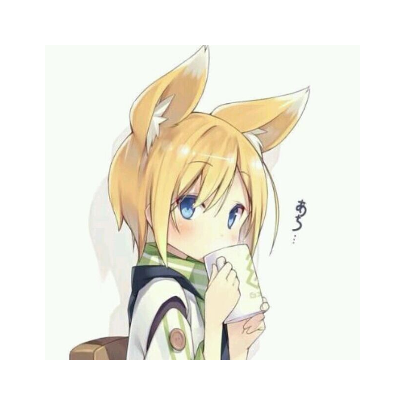 狐狸