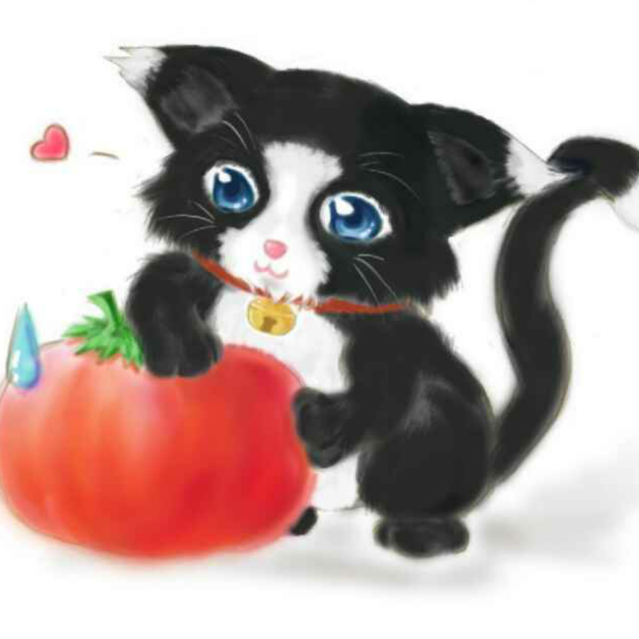 爱上番茄的猫