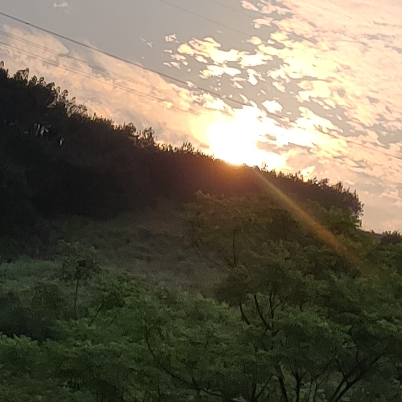 有酒独酌又何妨