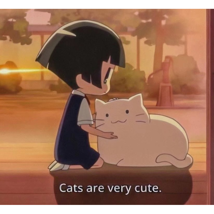 阿羽今天也没有猫