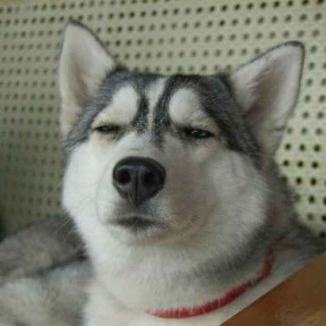 宁王