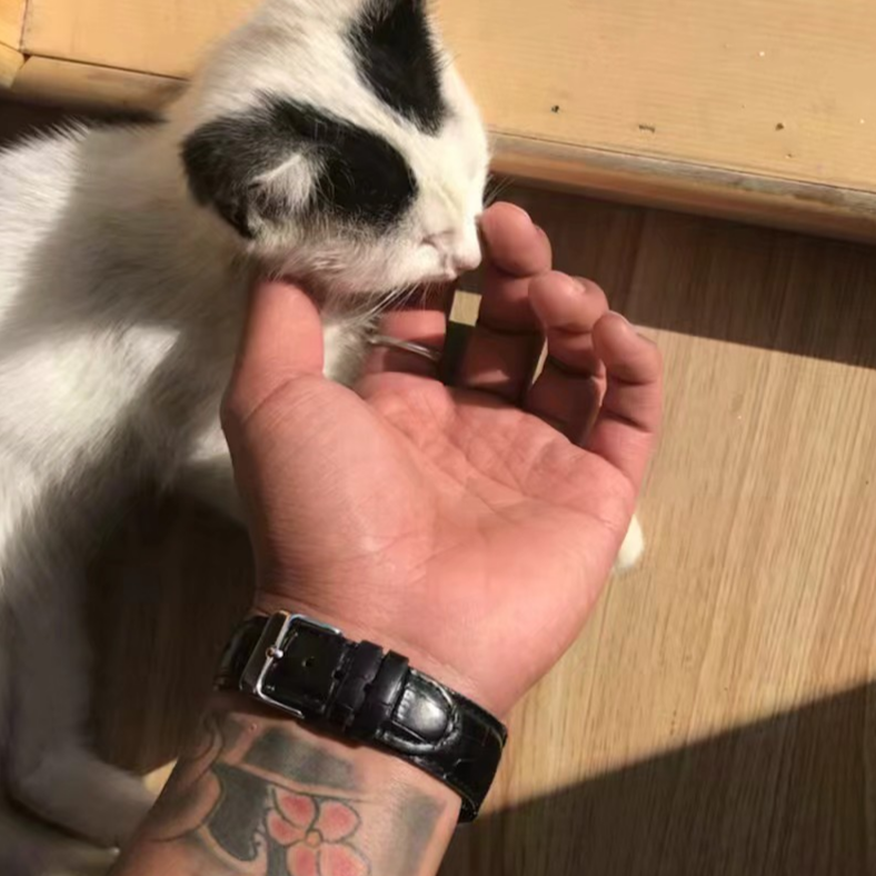 网上邻居