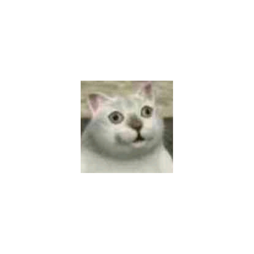 神奇物种