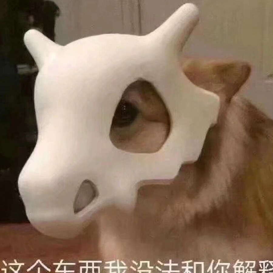 蛋蛋的蛋
