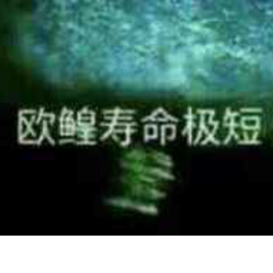 不浪漫的罪名↘