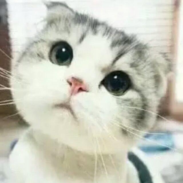 李李李李灬李先生