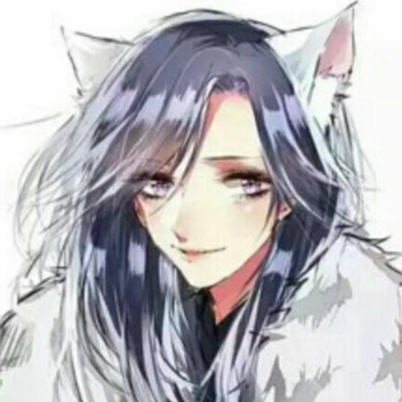 User804037