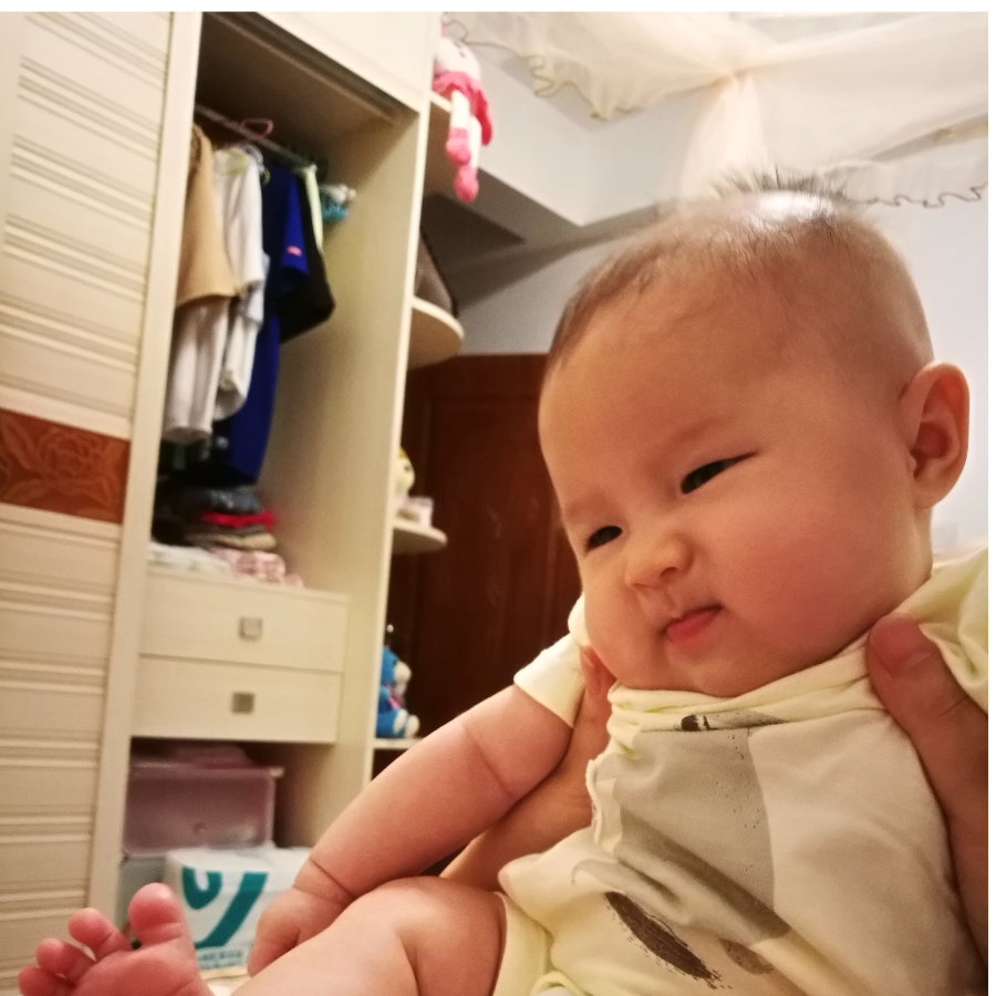 疯枫