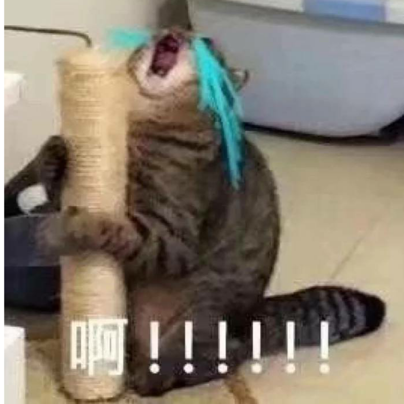 阿狗哥