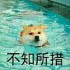 言无