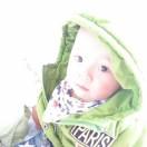 A兔宝宝板材 13083598