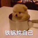 那就振国吧