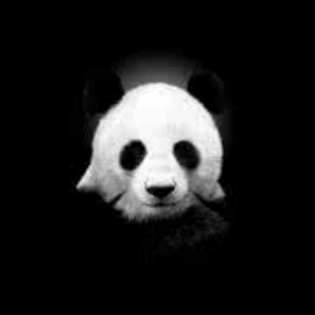 PANDA↗