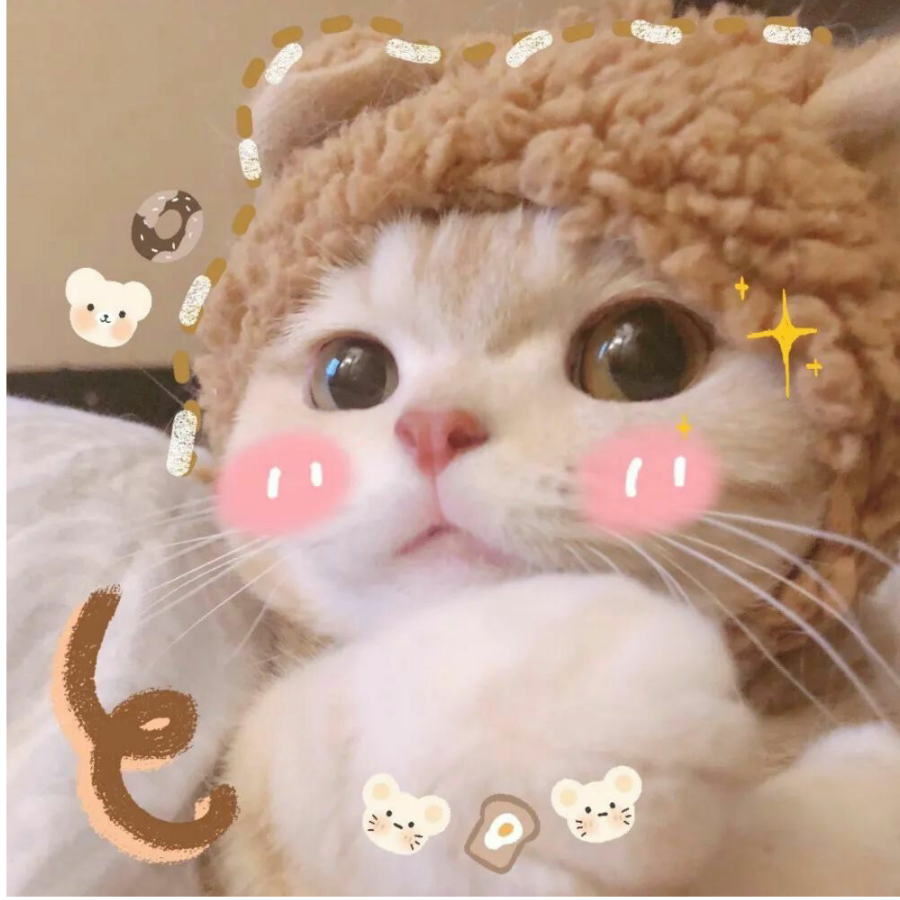 我五岁了鸭