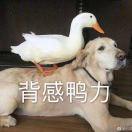 木吉三又木