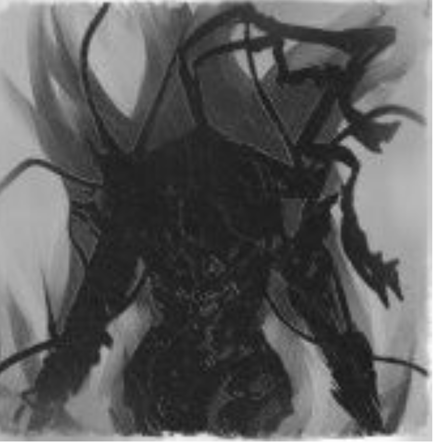 骑士