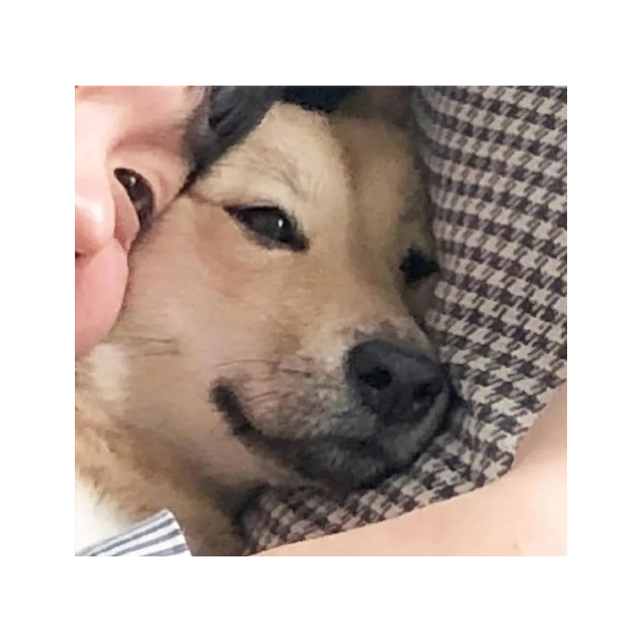 早睡早起的小希同学