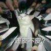吃葡萄不吐葡萄皮