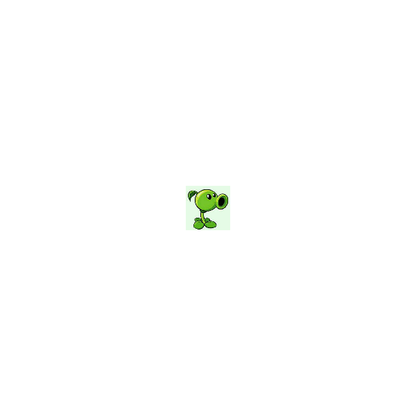 豌豆