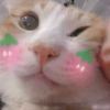 寂寥