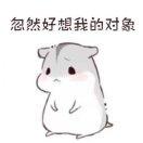 风在前，无惧！