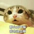 迷糊攸攸