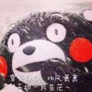 Mr.Wang