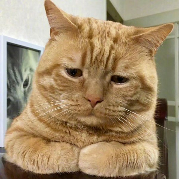 月弄痕