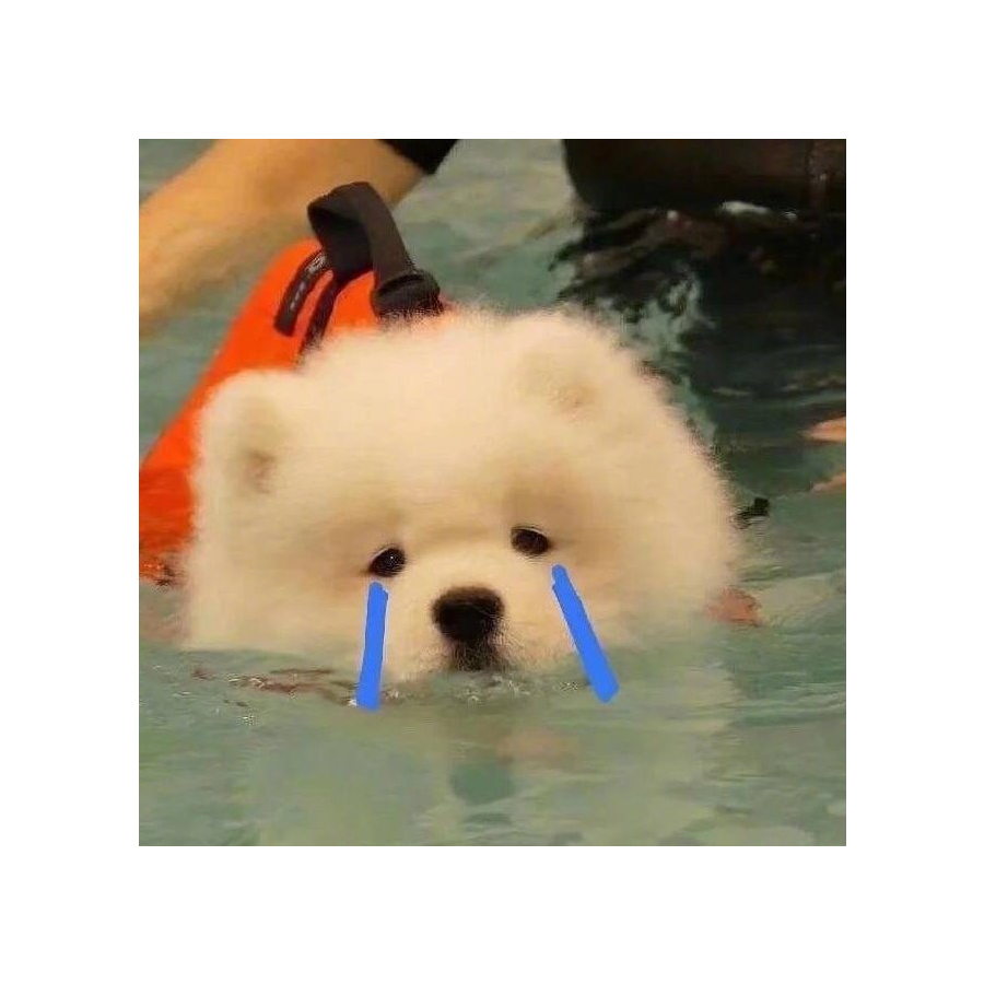 南风不识