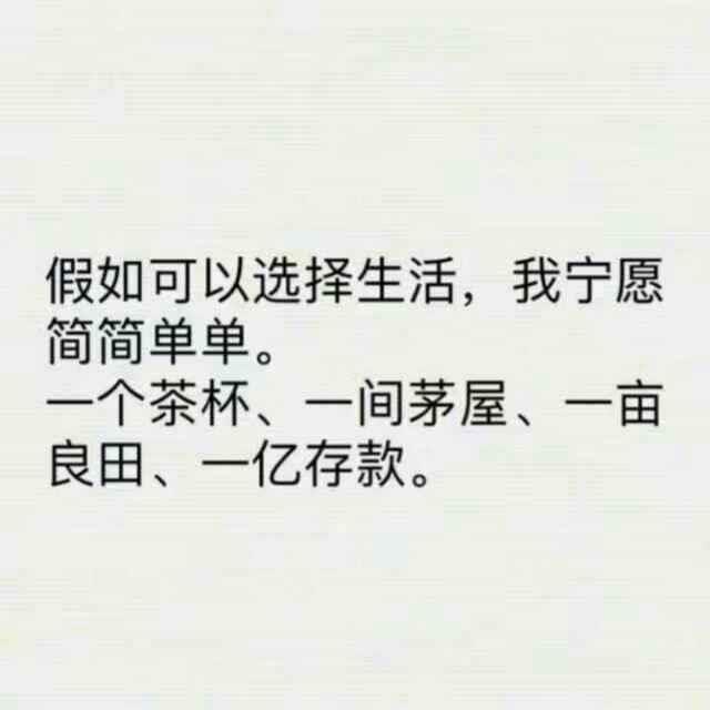 夜空中最亮的鑫