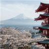 Fuji