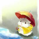 小白