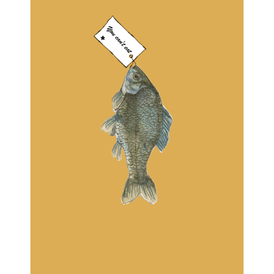 没有什么票子的阿帆达