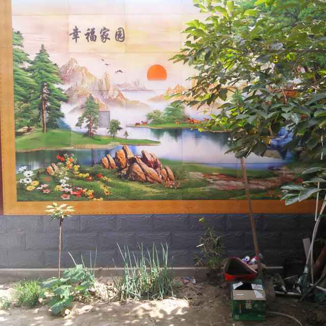 乐子高