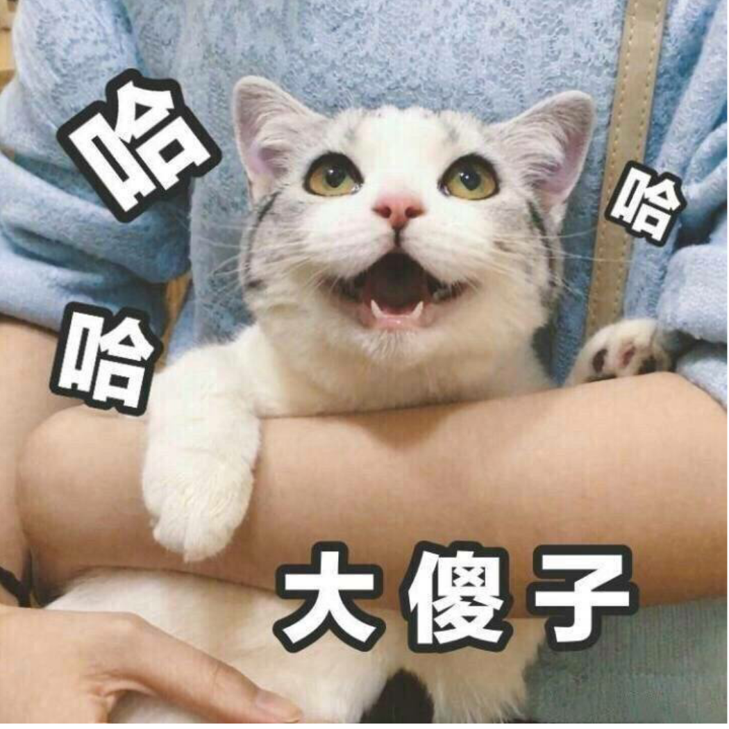 十级重度手残玩家