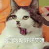 JVER
