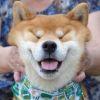冷咖 〃