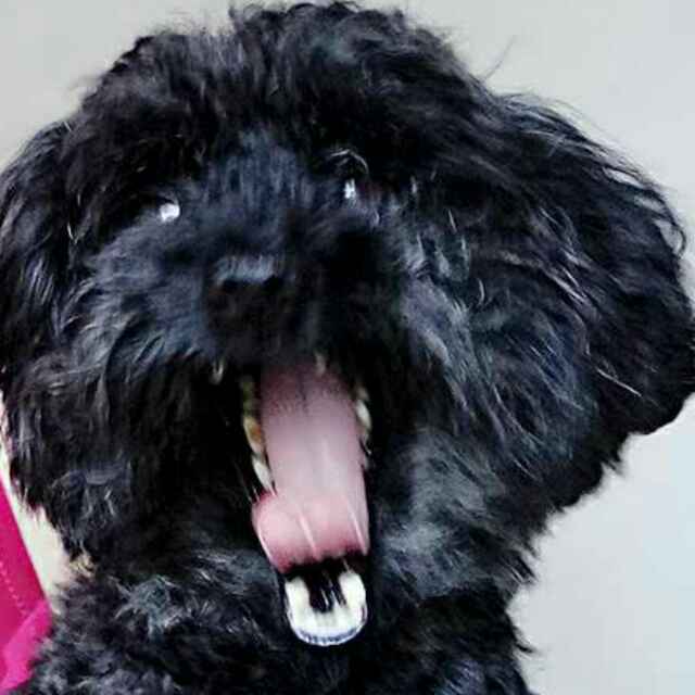 小风