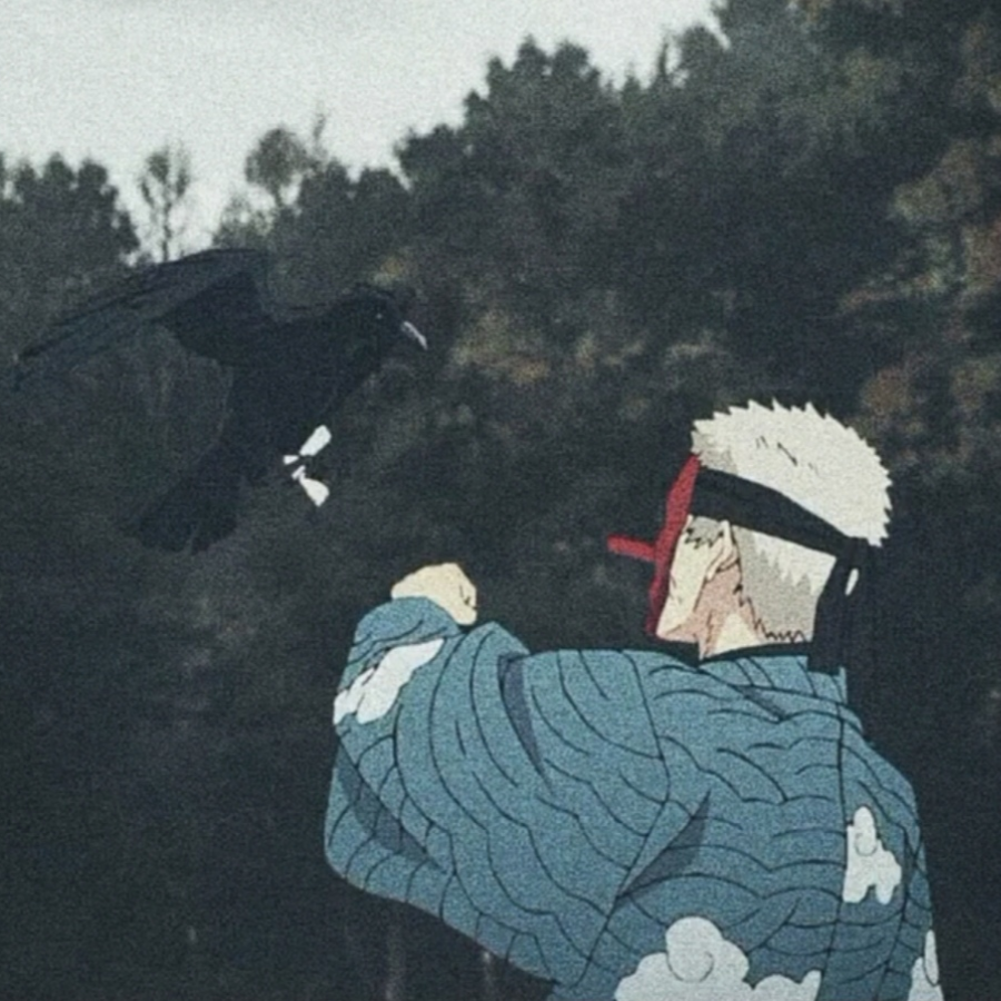 君望冬青