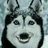 User38142537