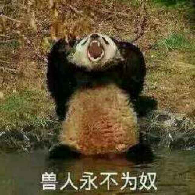 飞科