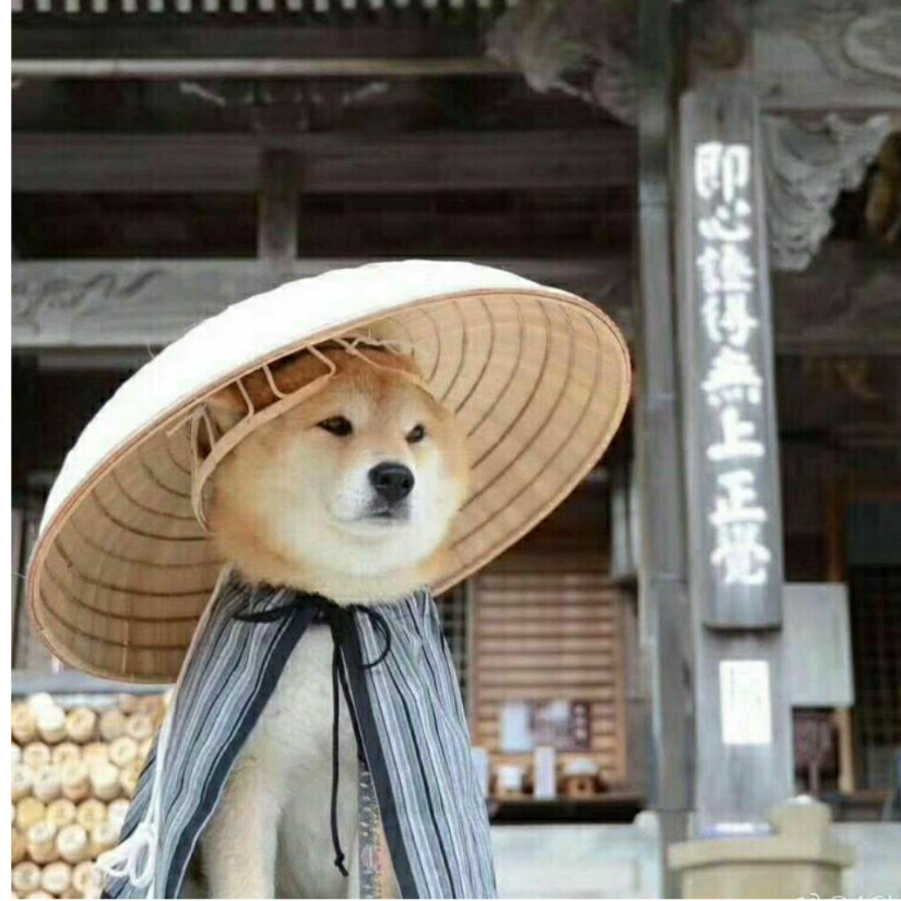 左耳