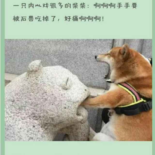 胜利，只存在分秒必争