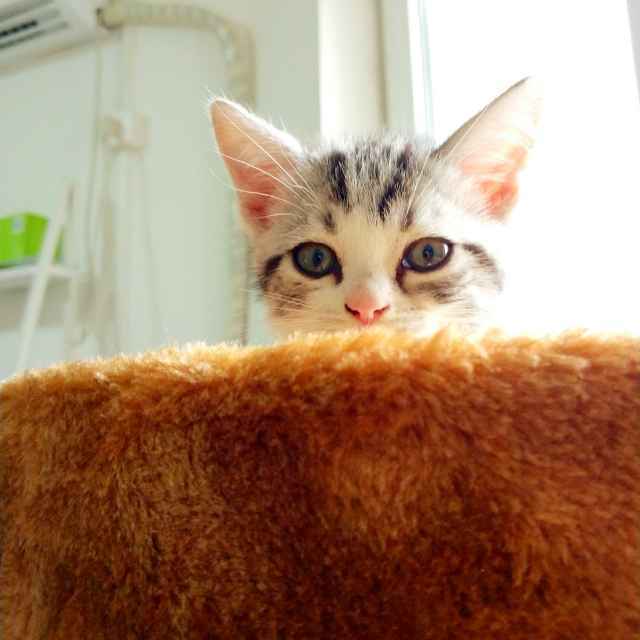 🌞不必在乎我是谁🌞