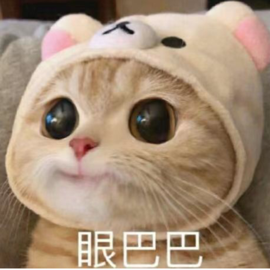 ゞ 正在缓冲99%