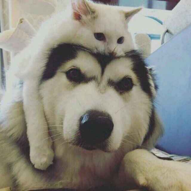 💙