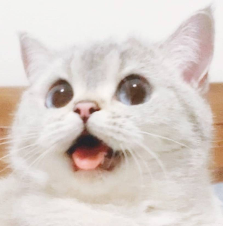 百百万万