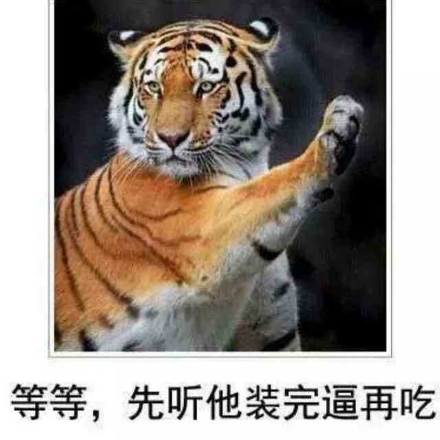 MC子裕怒斩雪翼雕