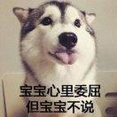 梁山伯与猪硬来