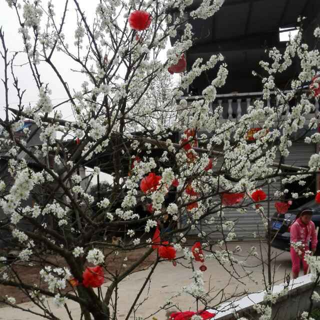 学海无涯